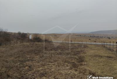 Teren intravilan în Chinteni – investiție (Necesita PUZ) - 4