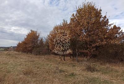 Teren Construcții intravilan de 2025 mp, în Nord