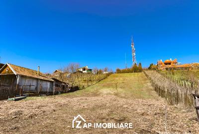 Platou - Posada - 1755 mp - 3