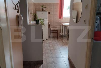Apartament 1 camera, 43mp, decomandat, zona Taberei - 8