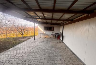 Casă spațioasă cu 3 dormitoare, două terase și două fronturi–15 km de Bistrita - 12