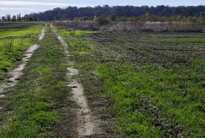 FARA COMISIOANE teren extravilan aproape de padure 5054mp merita vazut - 4