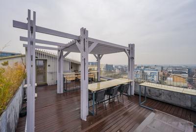 Penthouse de inchiriat in Aviatiei Park | Comision 0% - 29