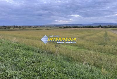 OKAZIE ! 2300 mp. Teren Intravilan Mereteu lat 22 m toate utilitatiile in fata - 7