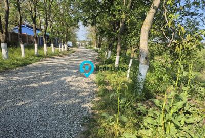 TEREN CU DESCHIDERE LA LAC / LA DOAR 100 M DE PADURE / UTILITATI - 4