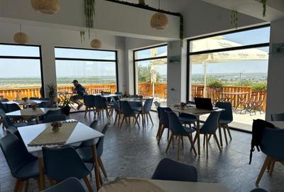 COMPLEX TURISTIC - oras Isaccea, judetul Tulcea, trecere bac UCRAINA - 4