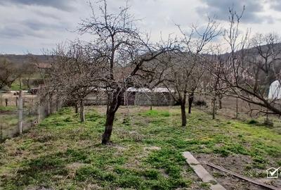 Exclusivitate! Casa individuala cu pozitie buna in Moldovenesti-Cluj - 16