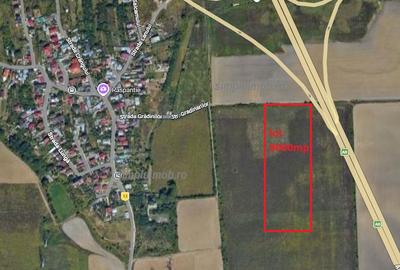 Teren agricol extravilan de 8000 mp, în Manolache