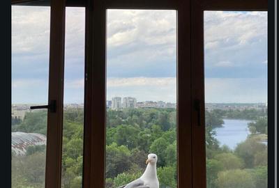 Beller I Apartament 4  camere - 3