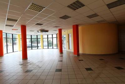 Spațiu comercial, de 208 mp, în Bogdăneștilor