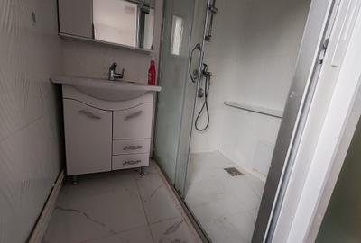 Apartament 3 camere pozitie deosebita zona Colinei - 13