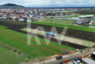 Teren agricol la cel mai mic preț - str. George Coșbuc din Sânpetru - 4
