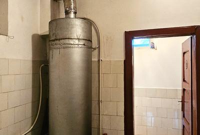 Proprietate cu 6329 mp teren intravilan,Casa P+1 si anexe, Alexandru cel Bun - 16