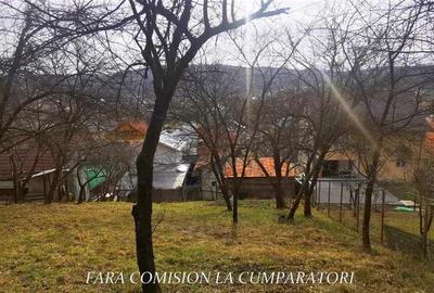 STIRBEI - VODA, CASA CU TEREN 2000 MP - 13