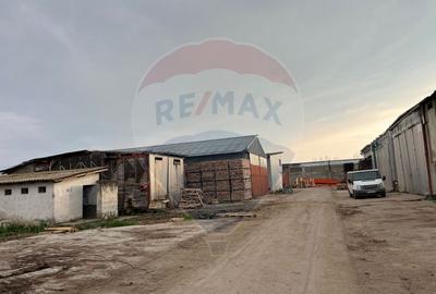 Spațiu industrial de 7,756mp de vânzare - 29