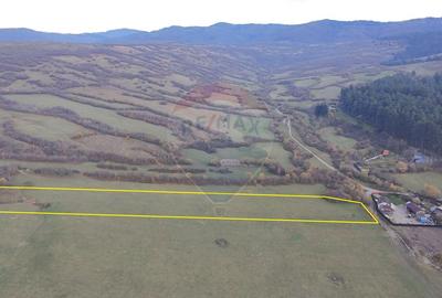 Teren 5.800 mp Purcareni curent, gaz, apă / Strada 30 decembrie - 1