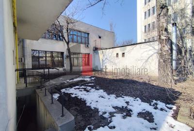 Comision 0% Spatiu comercial de inchiriat in Bucurestii Noi - Oportunitate Rara - 4