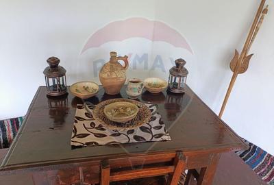 Vânzare casa la munte - zona turistica - Baia de Fier - 15