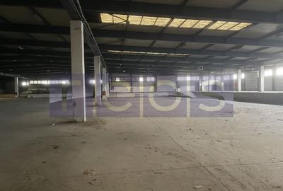 HALA | DEPOZIT - OTOPENI CENTURA  |  20.0000 MP - 12