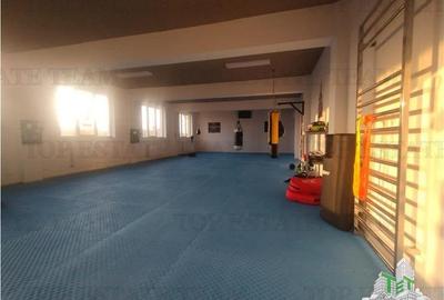Spatiu comercial nou p+1, suprafata generoasa 520 mp, Popesti Leordeni - 9