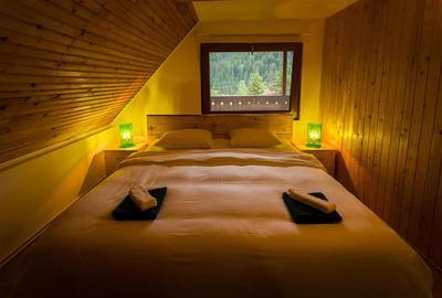 De vanzare casa de vacanta/locuit  in Lunca Bradului - 7