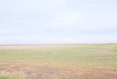 Ocazie ! GHERGHITA - nodul A3, 27 Ha. teren compact cu P.U.Z. aprobat - 11