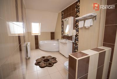 Hotel Miky Arad de vanzare bussiness operational functional - 38 camere - 14