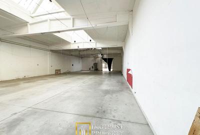 Hala industriala 421 mp Arad central, acces TIR, eficiență logistică - 5