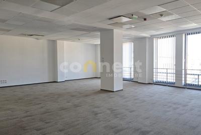 Birou, 460 mp în Central