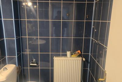 Inchiriez spatiu comercial cu destinatie de birouri in Deva, zona I. Creanga, - 10