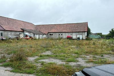 Spatiu industrial 5 camere zona Bradu - Sibiu - 2