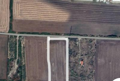 Teren Construcții intravilan de 10000 mp, în Aradului