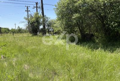 Teren 2.200 mp lângă pădure, la 11 km de Pitești – ideal pentru casă și relaxare - 3