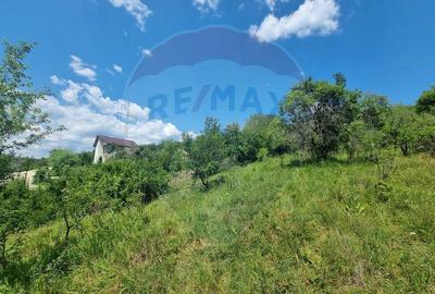 Teren intravilan 11.500 mp – Strada Cismari Vălenii de Munte - 10