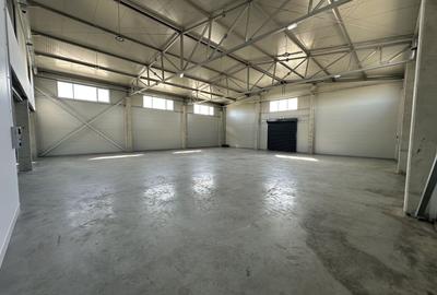 Hala depozitare cu birouri zona de N - 10