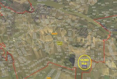 Teren agricol de vanzare Nufaru - 3