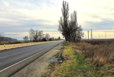 Snagov, CIolpani, Deschidere 61m DN1, Teren Intravilan 4906mp - 1