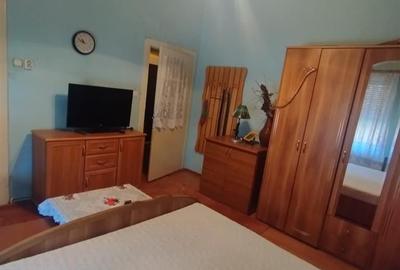 Apart la casa Bogdanestilor  curte  acces cu masina centrala proprie - 5