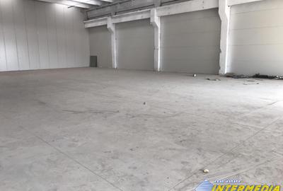Hale Productie Depozitare Alba Su. de la 1725 mp. - 4000 mp. finisata complet - 3