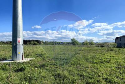 Teren 2,786mp Sighetu Marmatiei / Strada Zimbrului - 4
