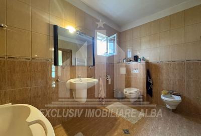 Casa individuala | Pensiune | 380 mp | 1377 mp teren | Cetate - 8