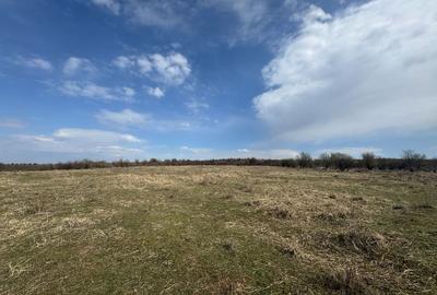 Teren 10262 mp extravilan Episcopia Oradea - 1