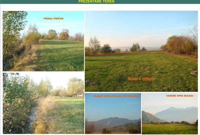 Teren superb Glejerie cu rau si priveliste de vis - 1
