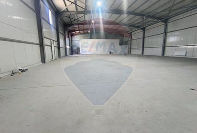 Hală modernă 920 mp open-space + birouri, Acces Centura - 14