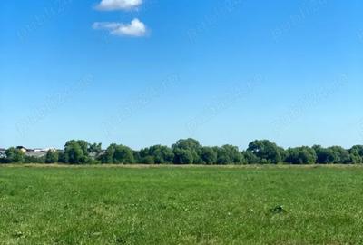 Teren Construcții extravilan de 8800 mp, în Arhitecților - Calea Cisnădiei