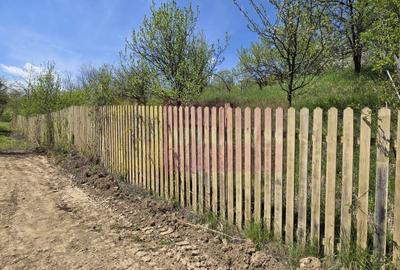 Teren cu Casuta de lemn in Sotrile (langă Valea Doftanei) - 17