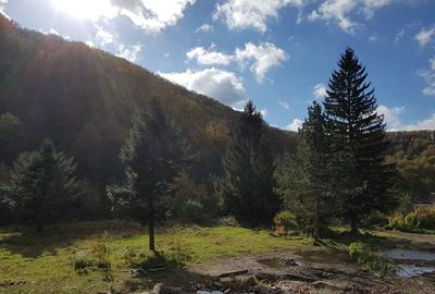 Teren intravilan ideal si de investitie, in Loc. Resita, strada Ciresului - 2