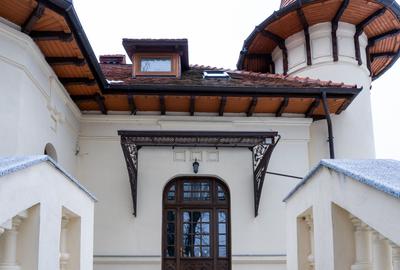 Domeniu fabulos zona Varatec - 5