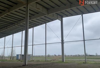 COMISION 0% Hala industriala 5500 mp utili zona de Nord Timisoara - ID V5143 - 2