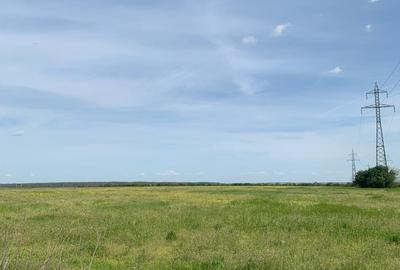 Sos de Centura Pantelimon Vanzare Teren 3,5 HA si 1, 1 HA - Cernica  25400MP - 8